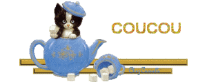 Gif animé coucou chat